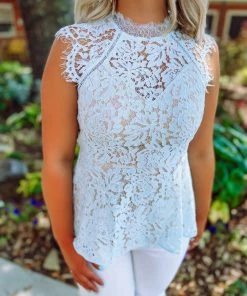 Andree Amora Sheer Lace Ruffle Hem Top