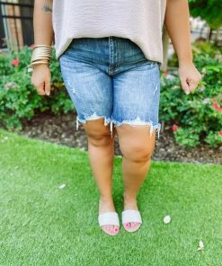 Risen Denim Shannon High Rise Distressed Long Shorts