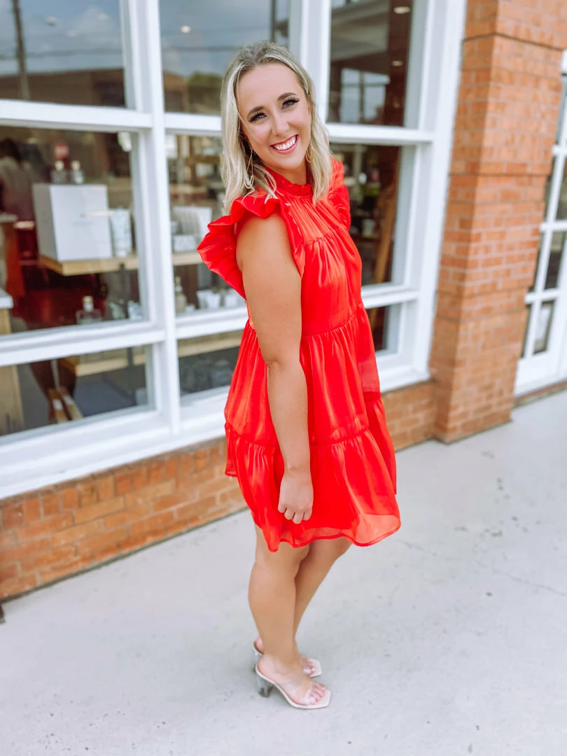 Entro Stephanie Iridescent Mock Neck Dress 4 Entro Stephanie Iridescent Mock Neck Dress